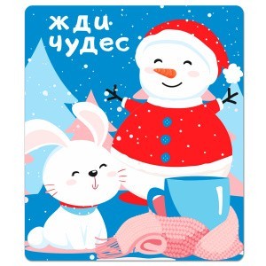 034001мп60026_1