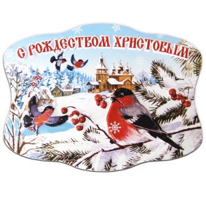 Магнит 3D "С Рождеством Христовым. Снегирь", 70х100 мм