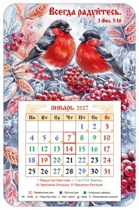 003-95-х-145-картон-2027-СНЕГИРИ