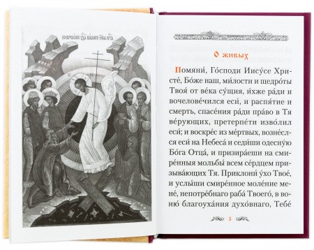 3002пкн116_1