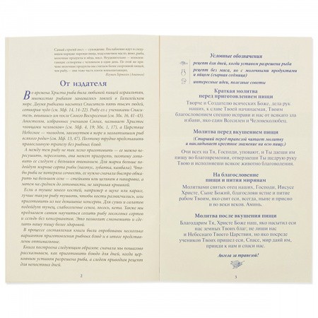 2003кн351_2