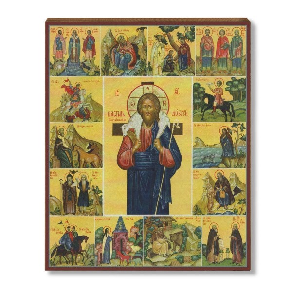 Пастырь Добрый, Болтинская 1