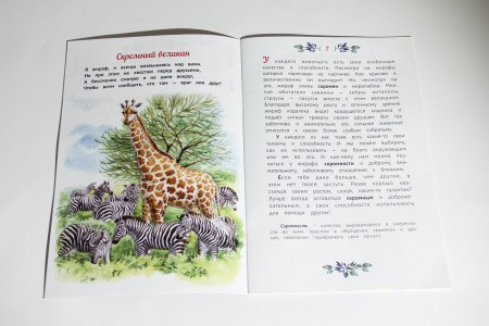 2015кн380_6