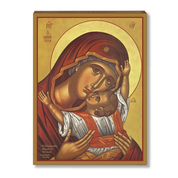 Кардиотисса 1