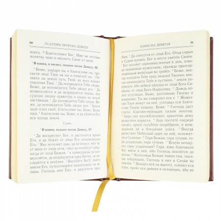 3001золотаясерия4 (9)