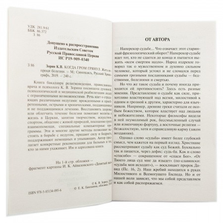 3005пкн020_1