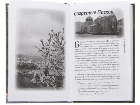 3009пкн200_5