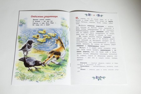 2015кн380_1