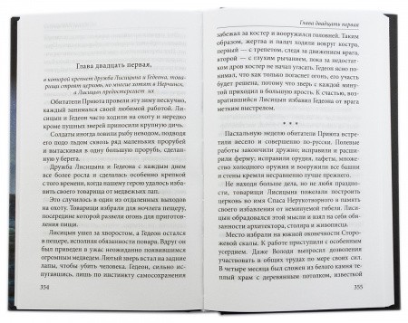 3009пкн080_5