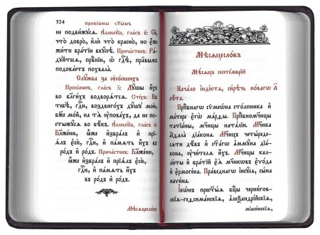 3002пкн163-3