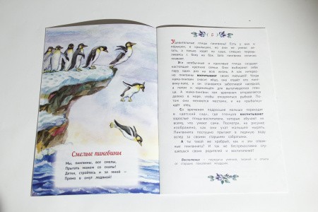 2015кн381_1